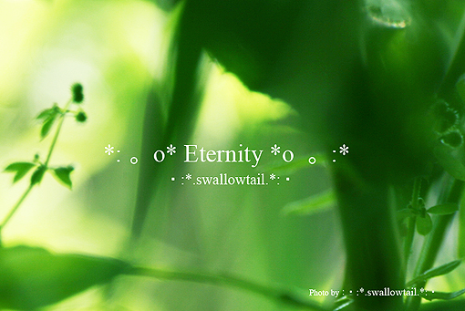 Photo by swallowtail　C.jpg