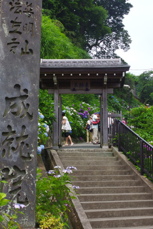 IMGP0401.jpg