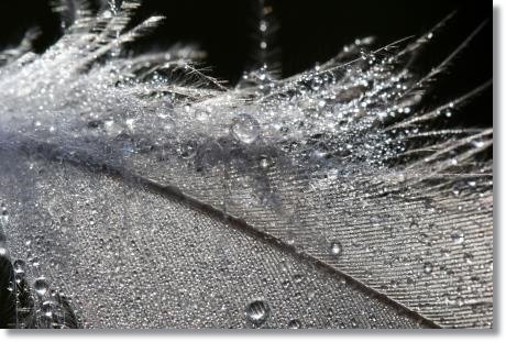 大野湊緑地公園-27 羽-5 15.1.21