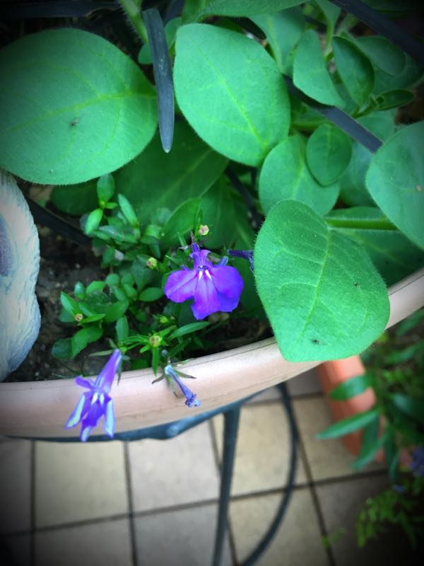 rblog-20150528193755-02.jpg