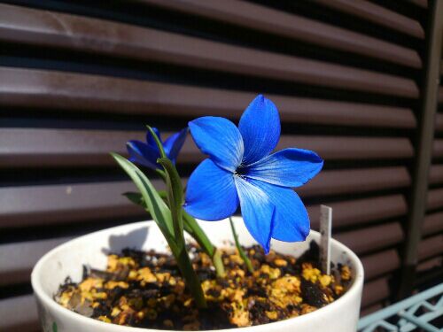 rblog-20160325235722-01.jpg