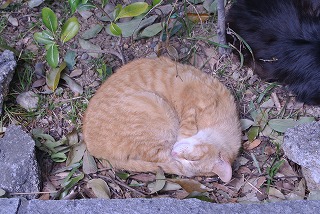 DSC_2143.jpg