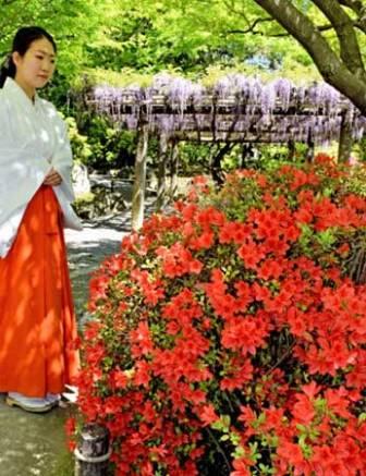 20160423tutuji.jpg