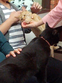 おやつ２.jpg
