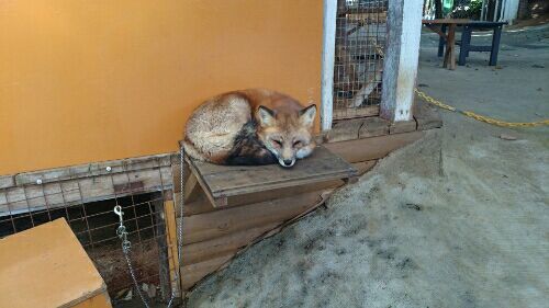 rblog-20161103114658-04.jpg