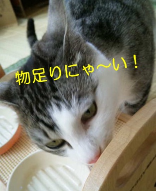 20120831_4.jpg