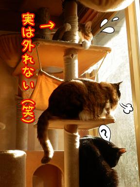 外れない７.JPG
