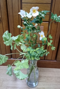 DSC_3106 (203x300).jpg