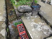 水路と飲み物