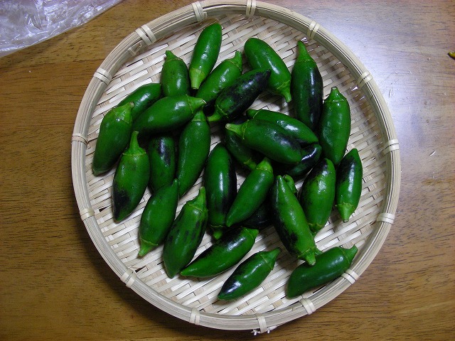DSCN3521.jpg