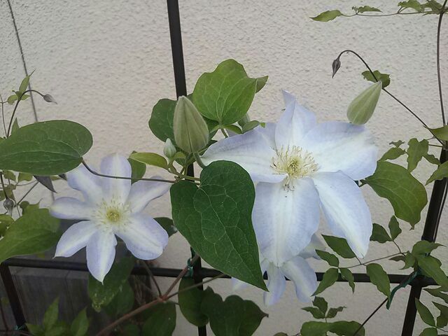 rblog-20140326191131-00.jpg
