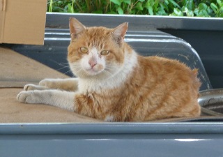 P1020205-ass.jpg