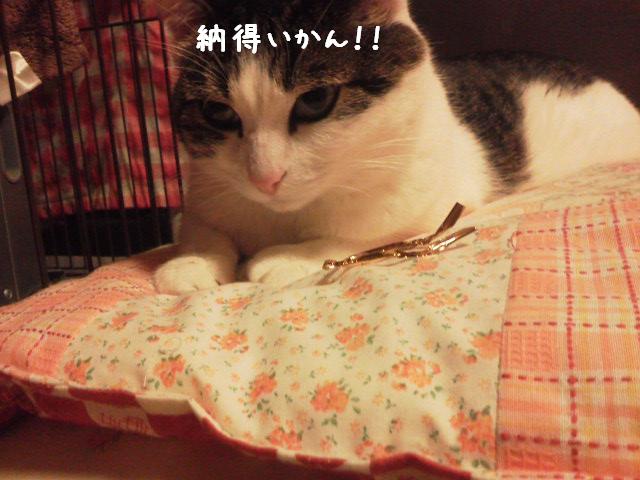 納得いかん！