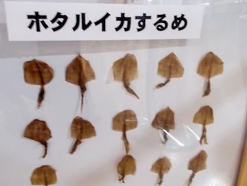 DSCN4070.jpg