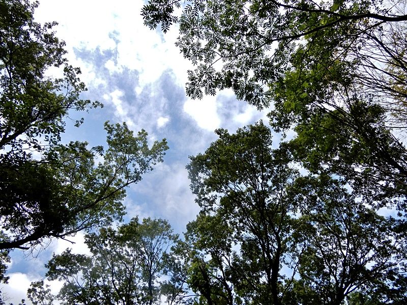 空3