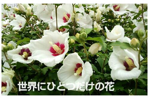 rblog-20160905194800-00.jpg