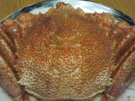 P1020131.JPG