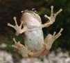 IMG_3924 1.jpg