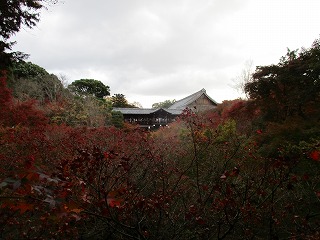 IMG_2719ss.jpg