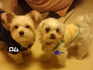 2013012217230001.jpg