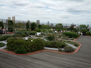 ハーブ園.jpg