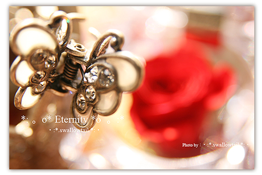 Photo by swallowtail　E.jpg