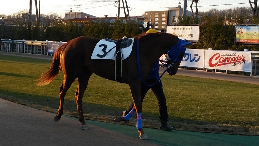 ラブミーファルコン.jpg