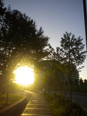 学校前で見た朝日.JPG
