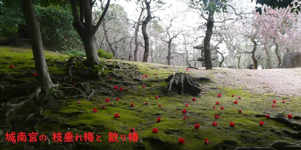 悠遊自手記@kyoto