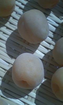 120628_梅2.jpg