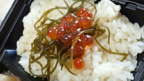 rblog-20150928013054-00.jpg