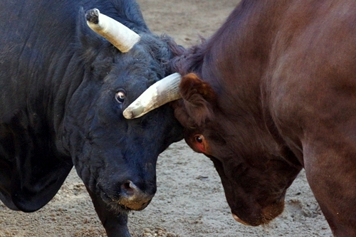 山古志　三太夫