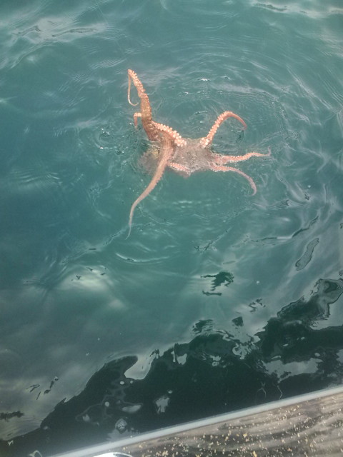 20120811091317.jpg