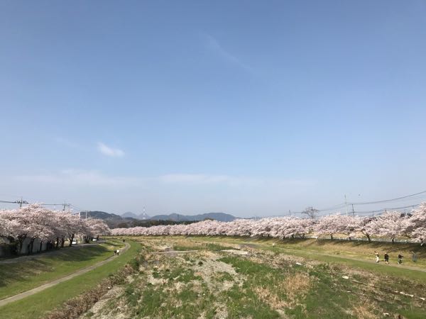 rblog-20180422235822-01.jpg