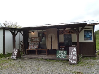 P1000473ss.jpg