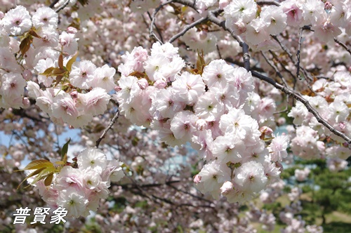 旧芝離宮恩賜庭園