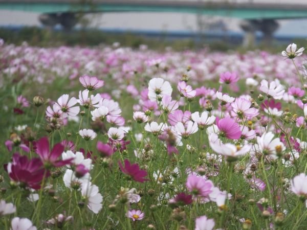rblog-20140923152449-00.jpg