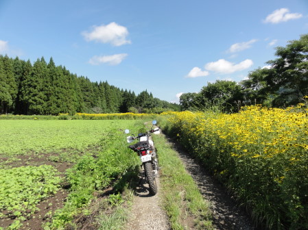 農道にて