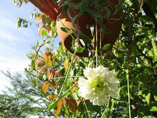 IMG_5711ss.jpg