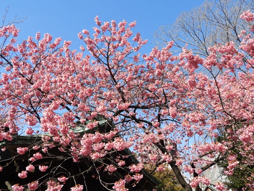 荏原神社にて