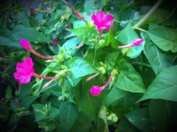 rblog-20160825215911-01.jpg