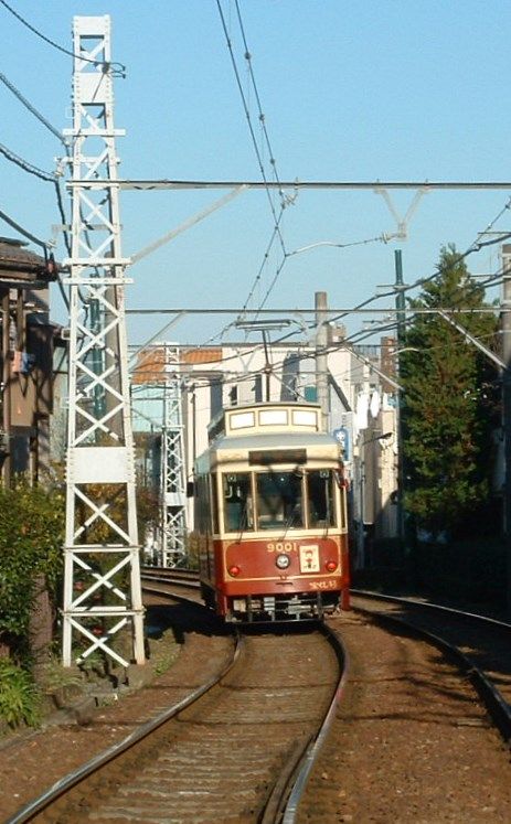 レトロ塗装の都電荒川線9000形電車と飛鳥山公園の紅葉  arakazu1554の 