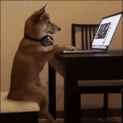 tumblr_o8l67l4F551tlb56zo1_400 (1).gif