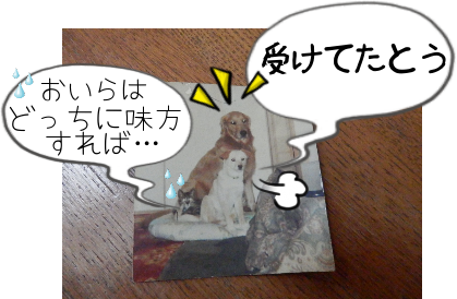 P4060006.png