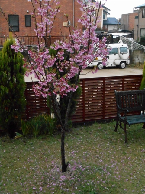 002 (480x640).jpg