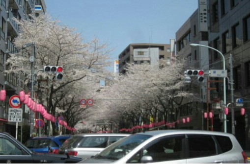 2014.04.02 中野