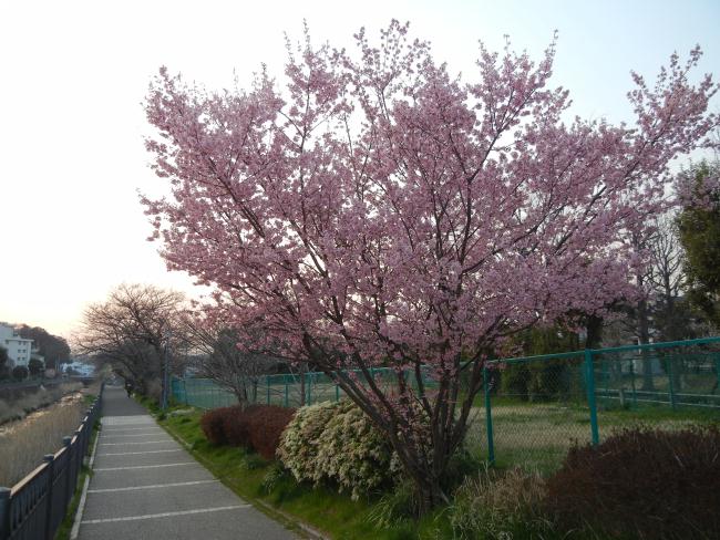 DSCN5165.JPG