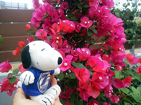 IMG_20160416_145815.jpg