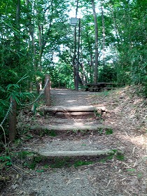 公園2.jpg