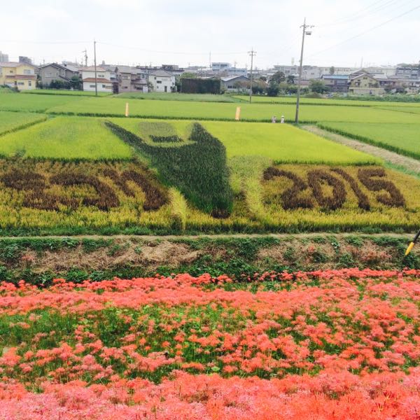 rblog-20151002131608-02.jpg